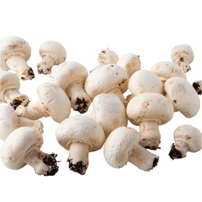 Шампиньоны свежие 500 г - купить в Свободном